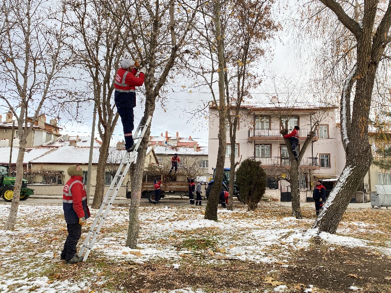 Ekipler Yeşil Alanların Korunması İçin Budama Çalışmalarını Sürdürüyor